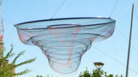 Phoenix public art